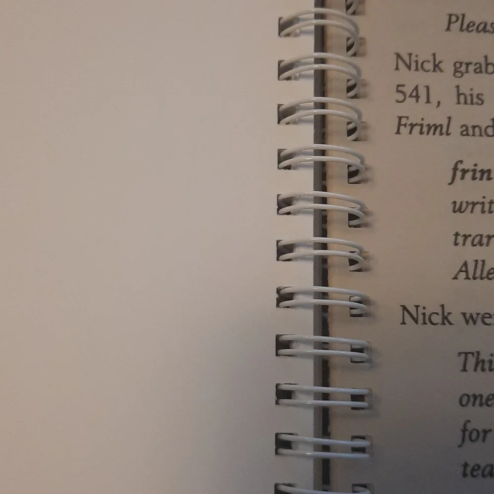 Secret Journal "Frindle" - Picture 4 of 6